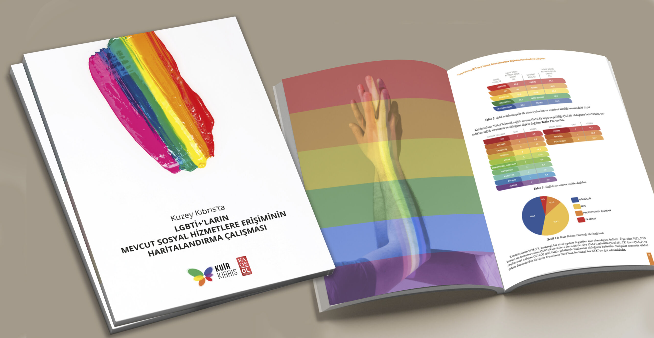Kuzey Kıbrıs`ta LGBTİ+’ların Mevcut Sosyal Hizmetlere Erişiminin  Haritalandırma Raporu